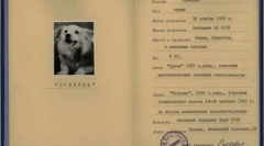 Hladno ratovanje štene: papuče u porodici kennedy